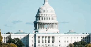 Elon Musk deixa governo Trump após 130 dias à frente do DOGE elon musk