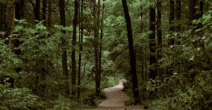 6 caminhos para startups atraírem investimentos em 2025 startups