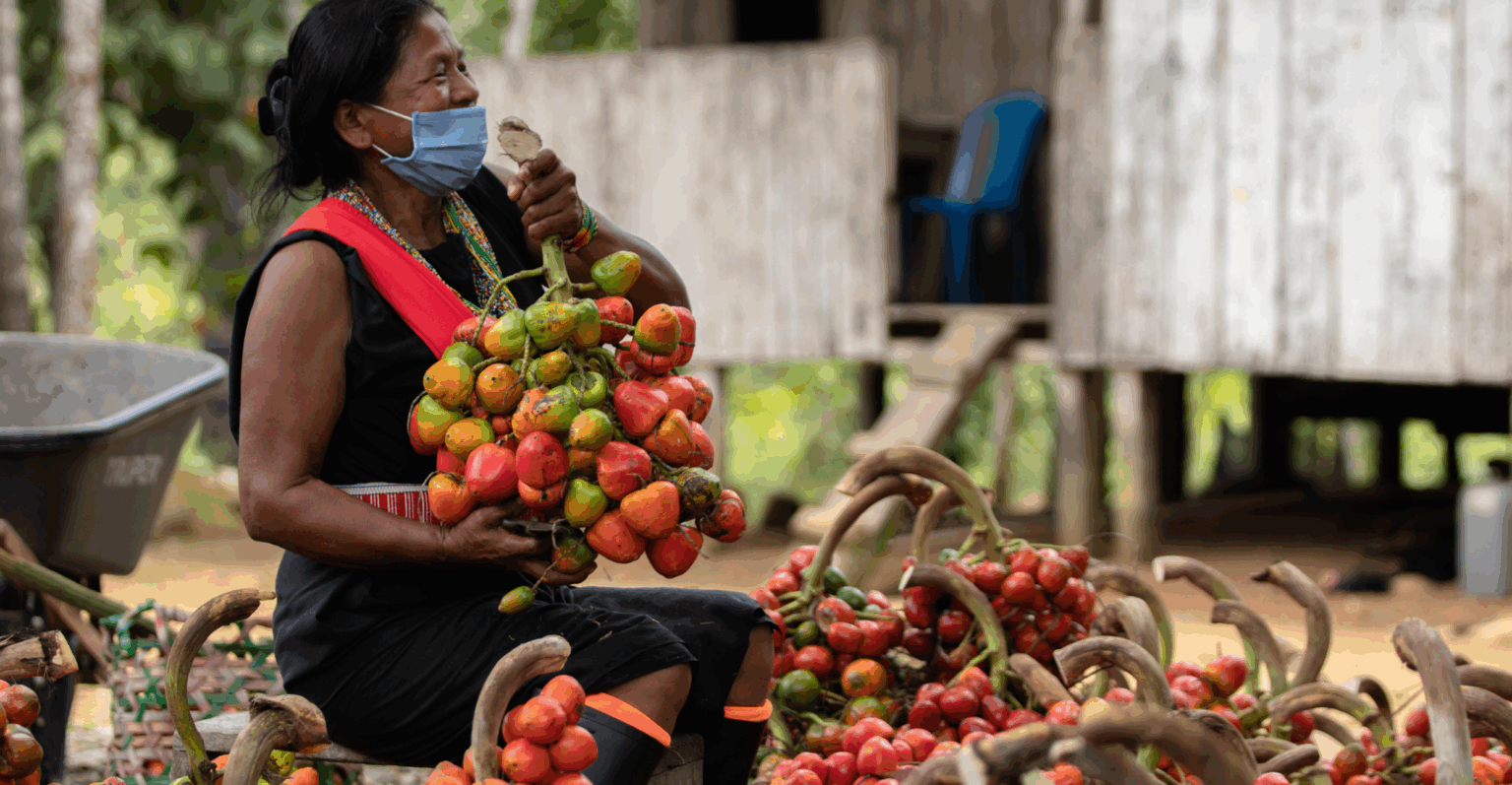 Stone capta R$ 295 milhões para ampliar crédito a pequenos negócios na Amazônia Legal