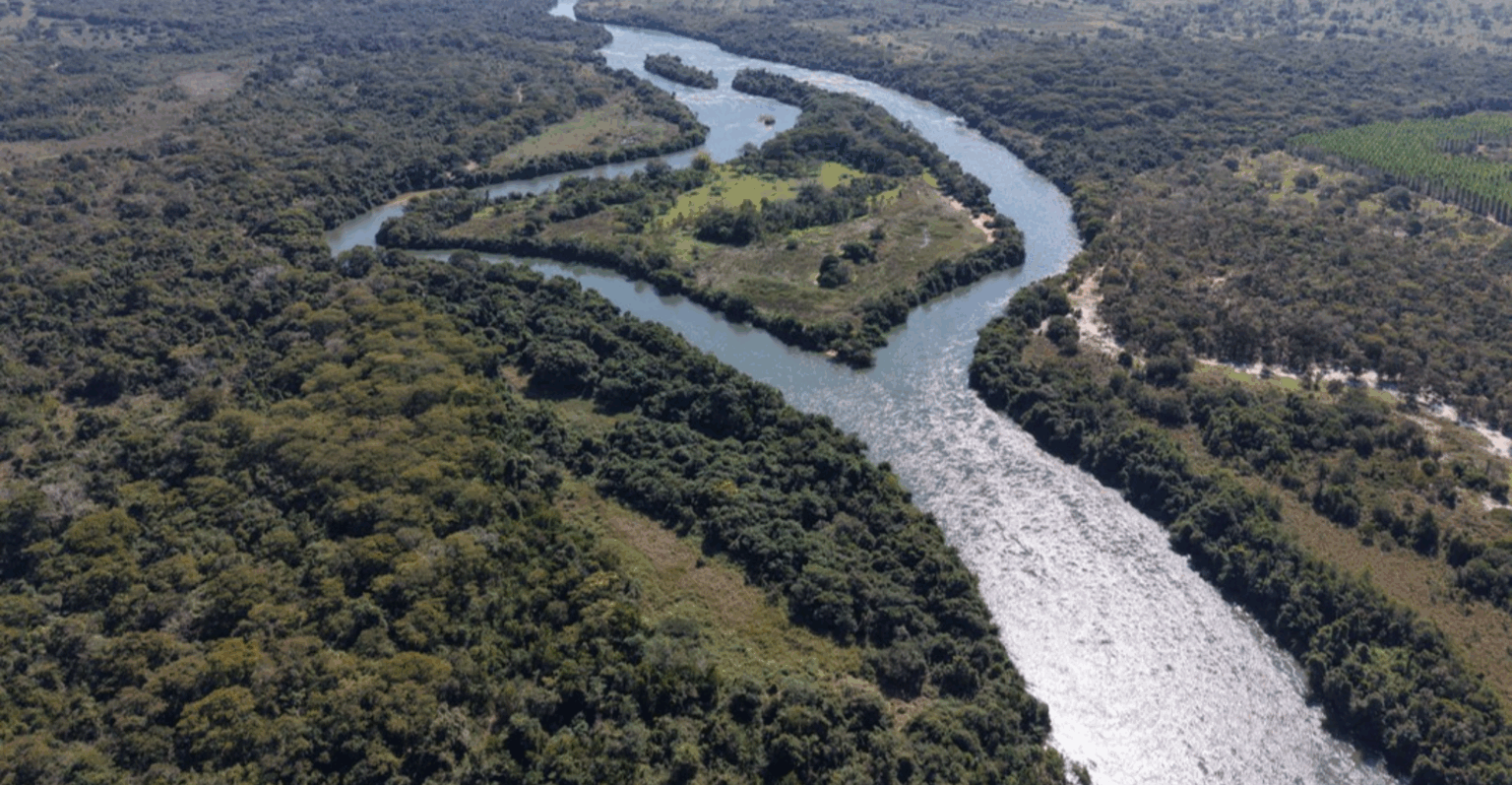 Arauco capta R$ 12 bilhões para financiamento do Projeto Sucuriu Arauco capta R$ 12 bilhões para financiamento do Projeto Sucuriu
