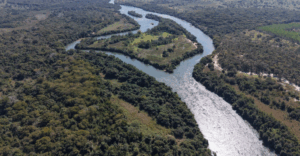 Arauco capta R$ 12 bilhões para financiamento do Projeto Sucuriu