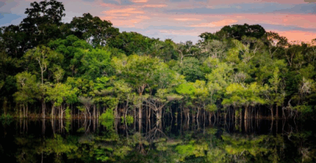 Mahta recebe aporte de R$ 20 mi para desenvolver novos ‘superalimentos’ da Amazônia mahta