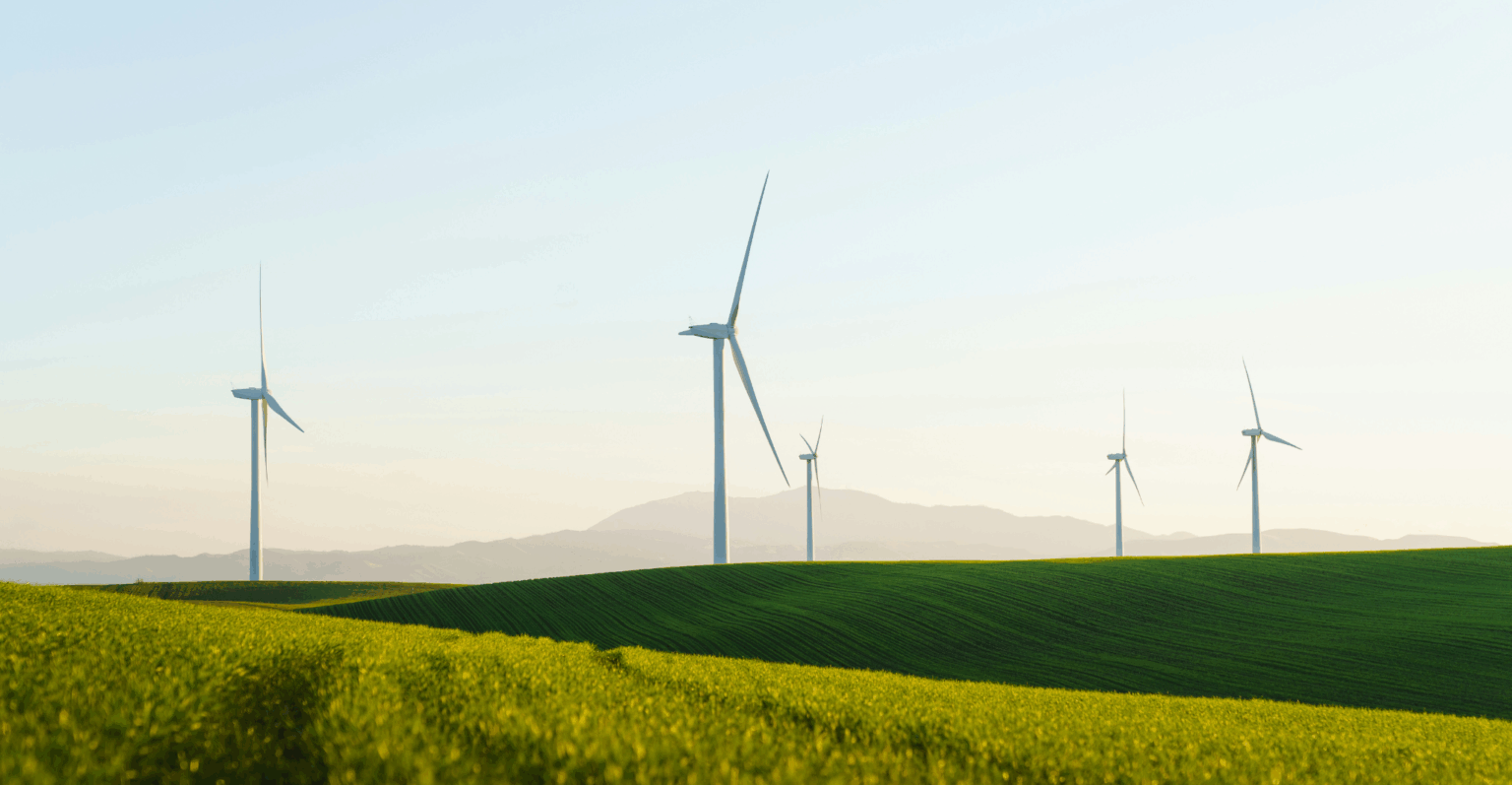 COP30: soluções brasileiras ganham destaque na corrida pela sustentabilidade cop30