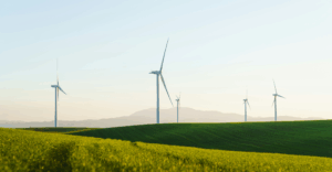 COP30: soluções brasileiras ganham destaque na corrida pela sustentabilidade cop30