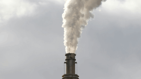 Just Climate de Al Gore reúne US$ 375 milhões para descarbonização em países emergentes just climate