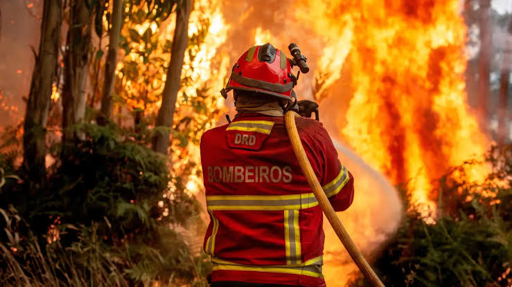 Incêndios devastadores na Europa são problemas pequenos junto do terror da negação climática Incêndios devastadores na Europa são problemas pequenos junto do terror da negação climática
