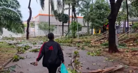 Tempestade como Diagnóstico: O que os Vendavais no Brasil Revelam sobre a Falha no Planejamento Urbano